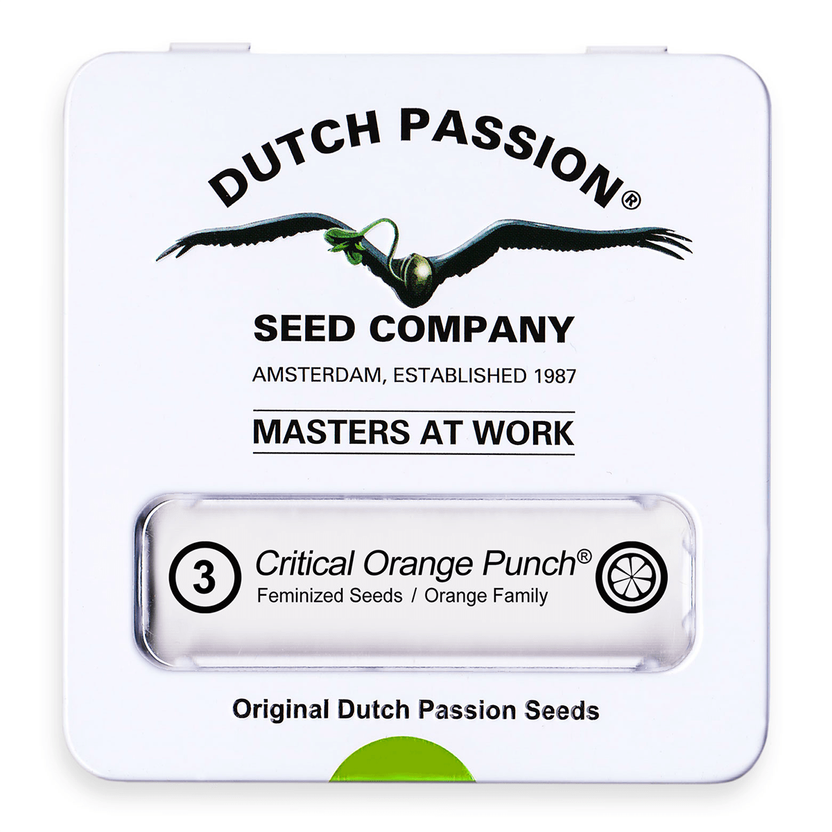 Dutch Passion Critical Orange Punch | Feminisiert | 3 Samen - Grüner Daumen