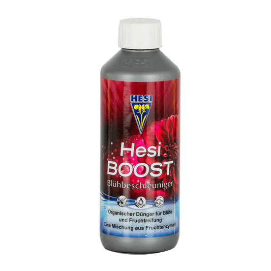 Hesi Boost