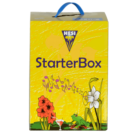 Hesi Starterbox, Erde