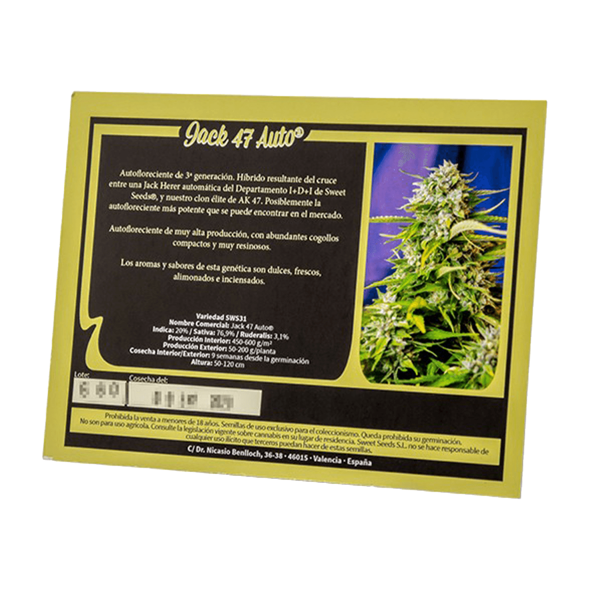 Sweet Seeds Jack 47 | Automatik | 5 Samen - Grüner Daumen